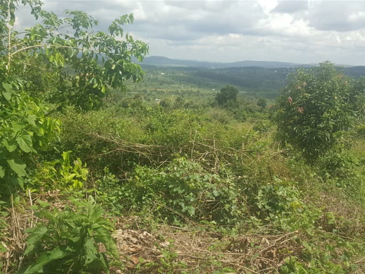 Residential Land for sale in Nakawuku Wakiso