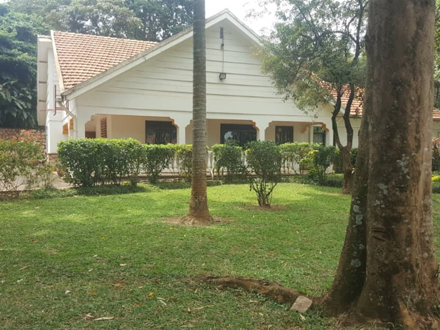 Bungalow for rent in Kololo Kampala