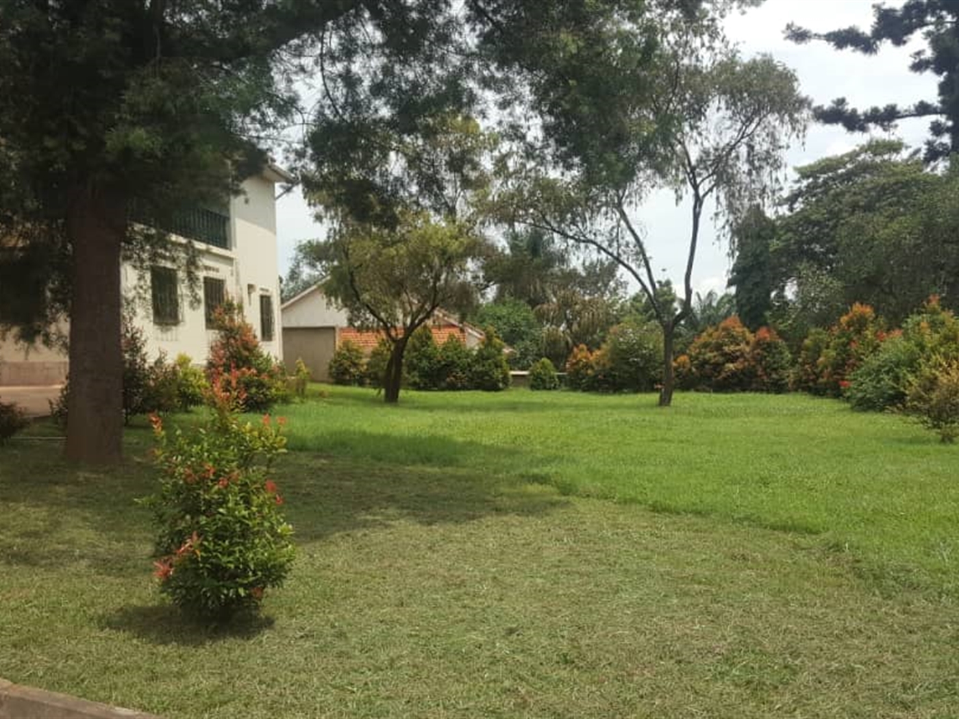 Bungalow for rent in Kololo Kampala