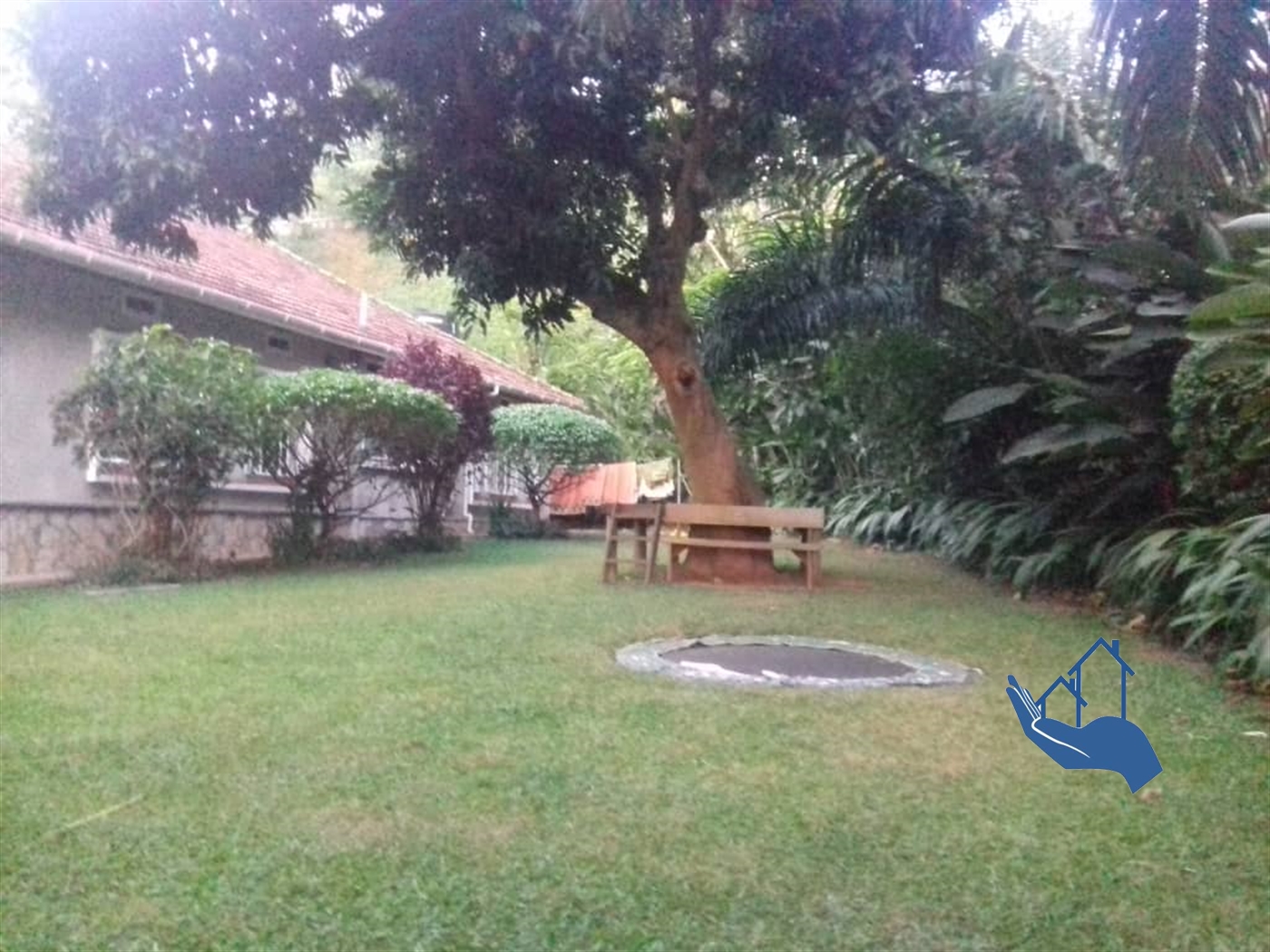 Bungalow for rent in Muyenga Kampala