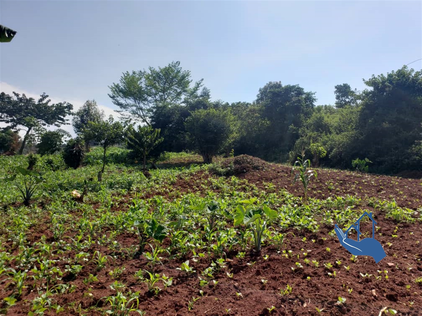 Residential Land for sale in Kigo Wakiso