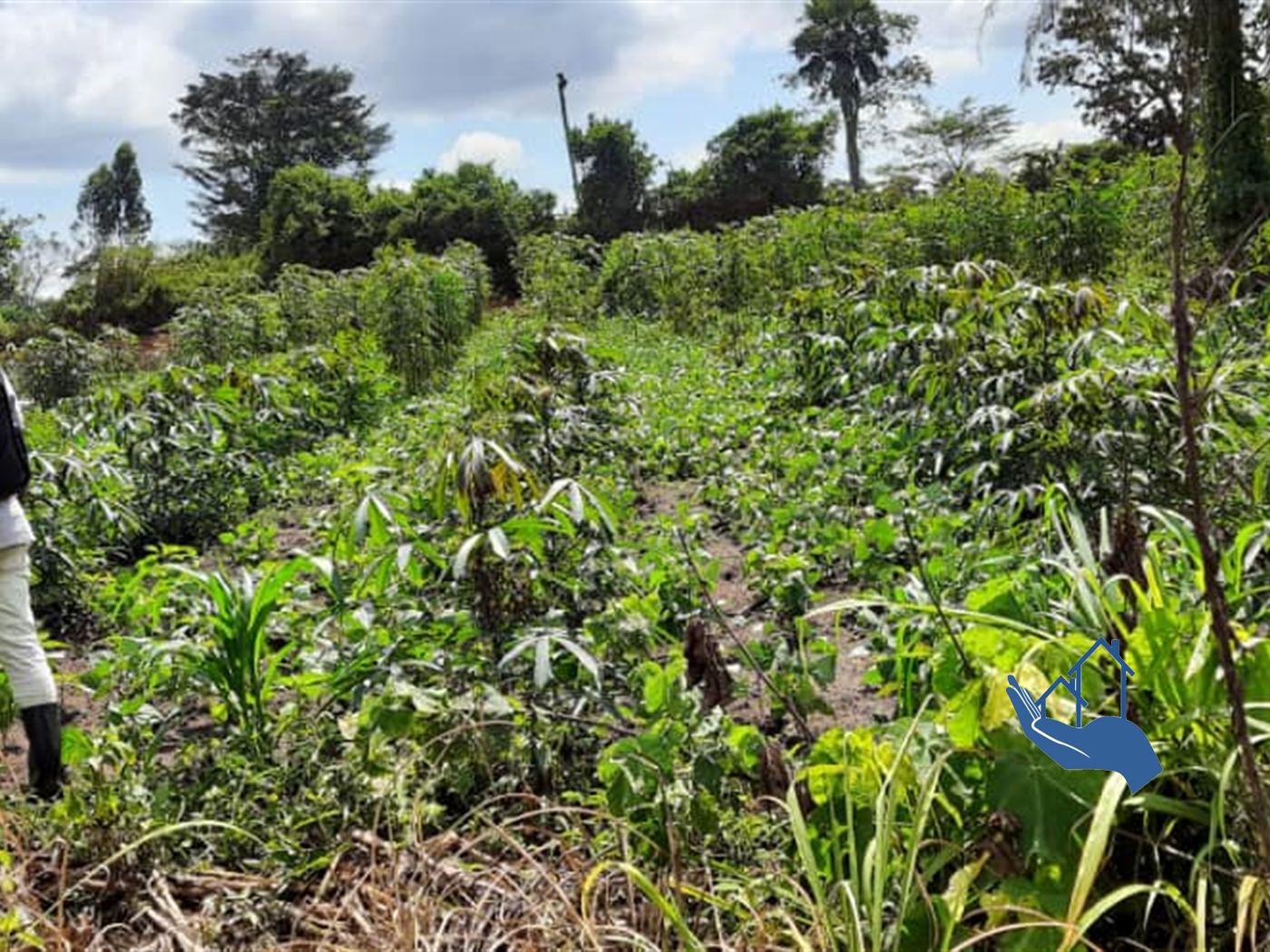 Residential Land for sale in Kigo Wakiso