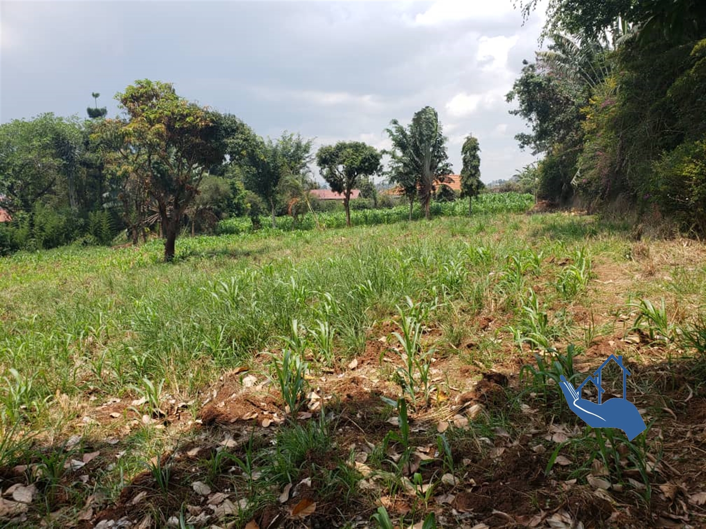 Residential Land for sale in Lubowa Wakiso