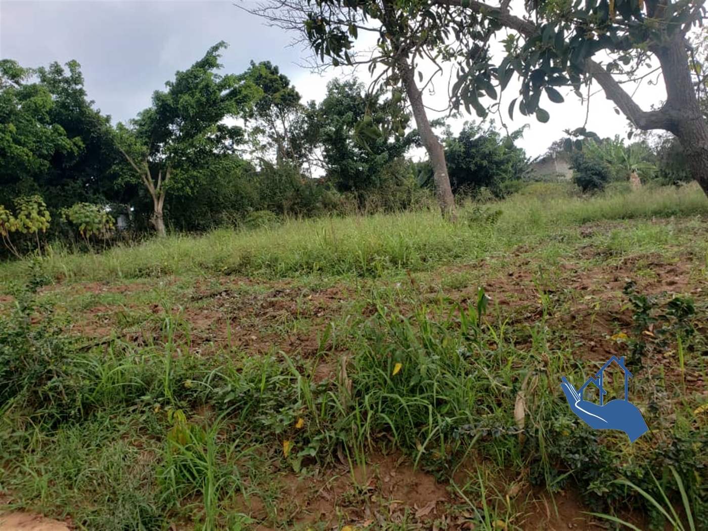 Residential Land for sale in Lubowa Wakiso