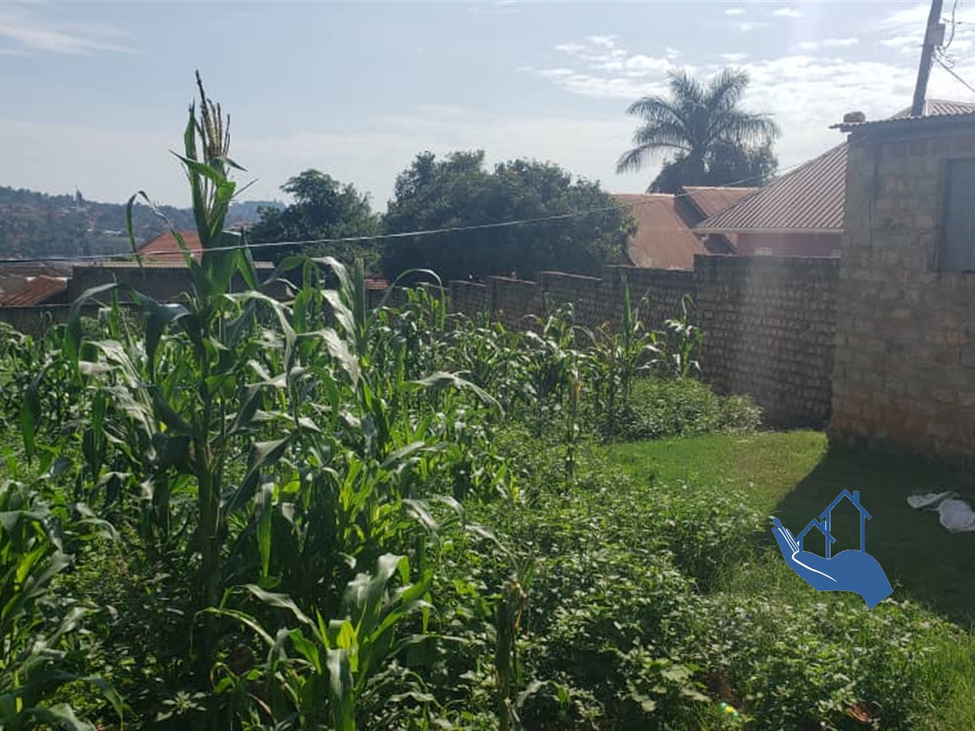 Residential Land for sale in Kansanga Kampala