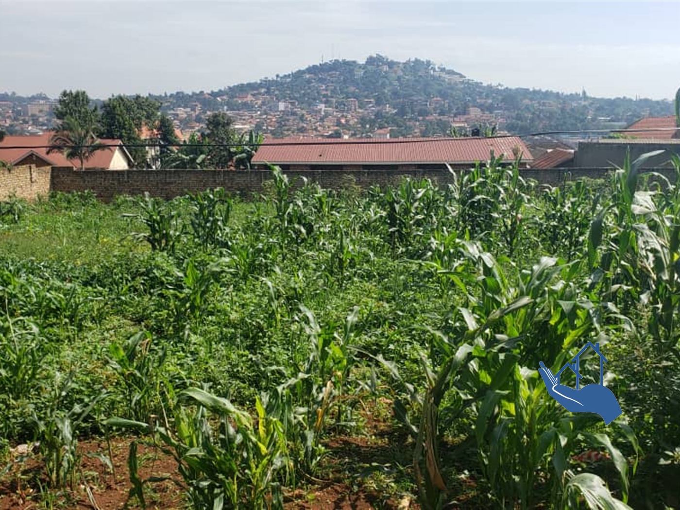 Residential Land for sale in Kansanga Kampala