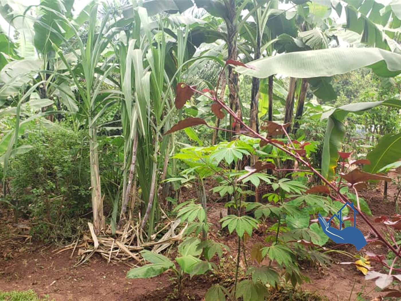 Residential Land for sale in Kigo Wakiso