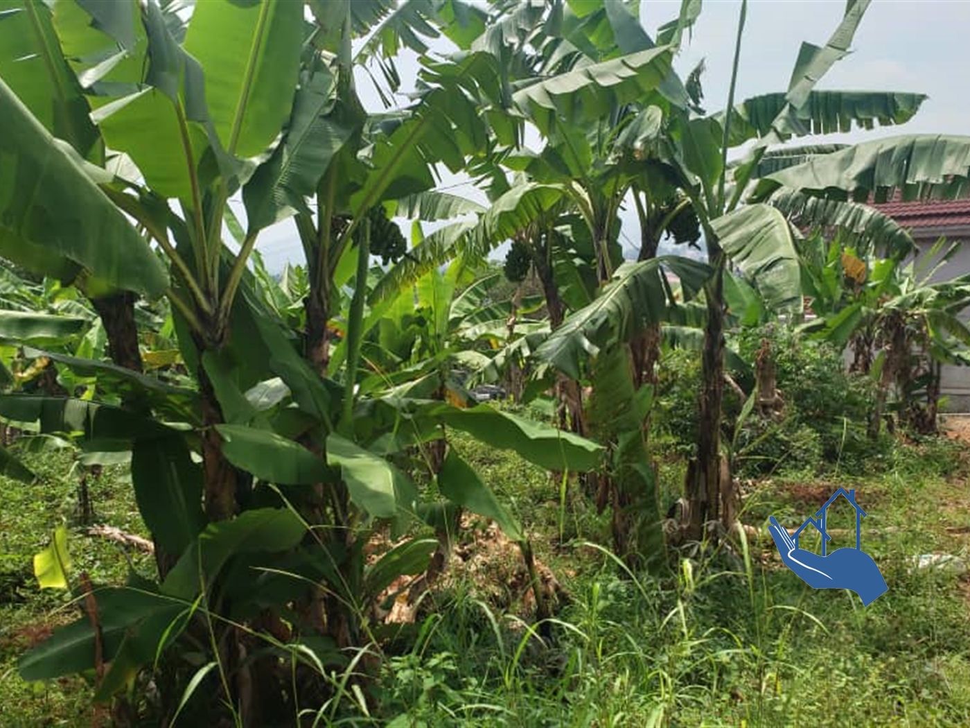 Residential Land for sale in Kigo Wakiso