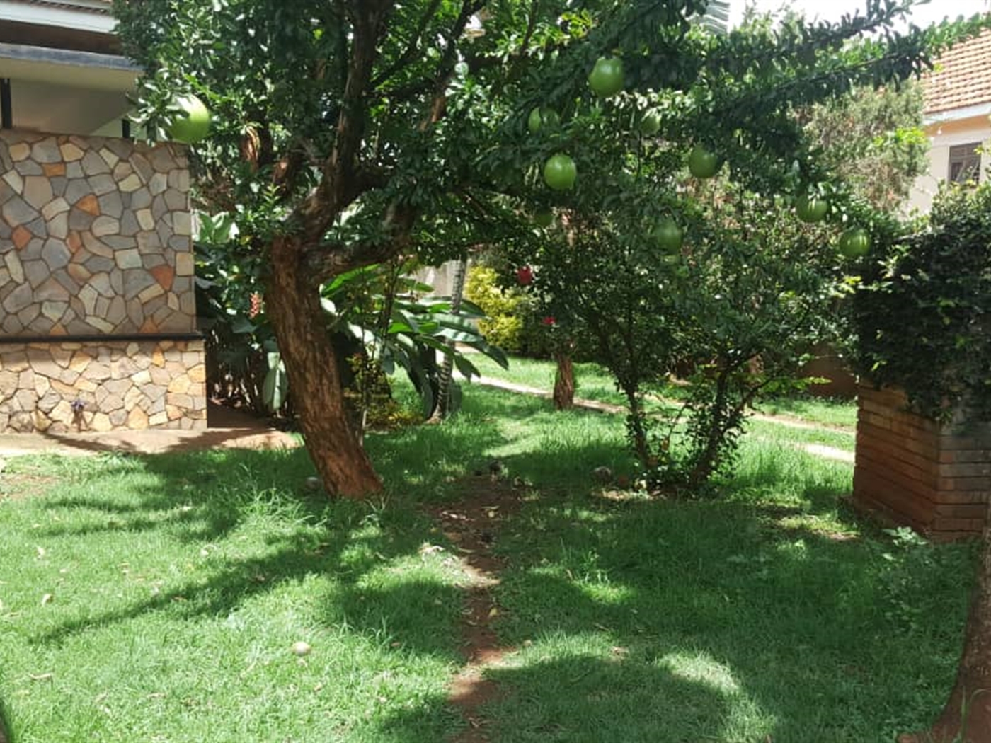 Bungalow for rent in Muyenga Kampala