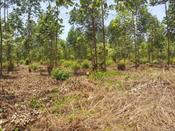 Residential Land for sale in Kira Kampala