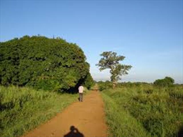 Agricultural Land for sale in Mwazi Mubende