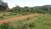 Residential Land for sale in Mabira Mukono