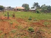 Residential Land for sale in Kigo Wakiso