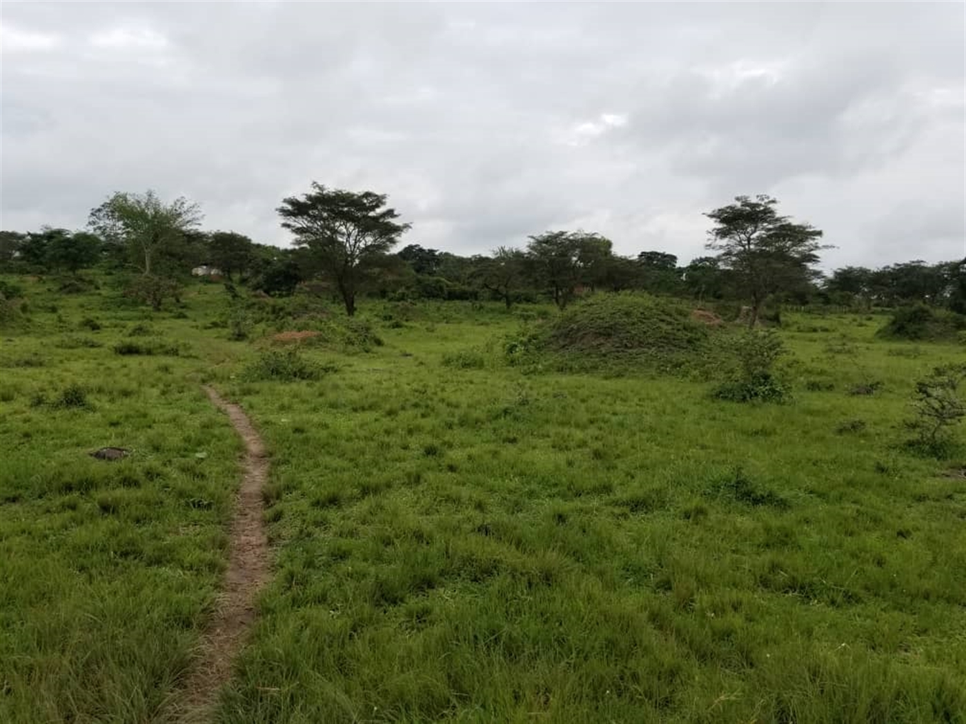 Agricultural Land for sale in Ggomba Butambala