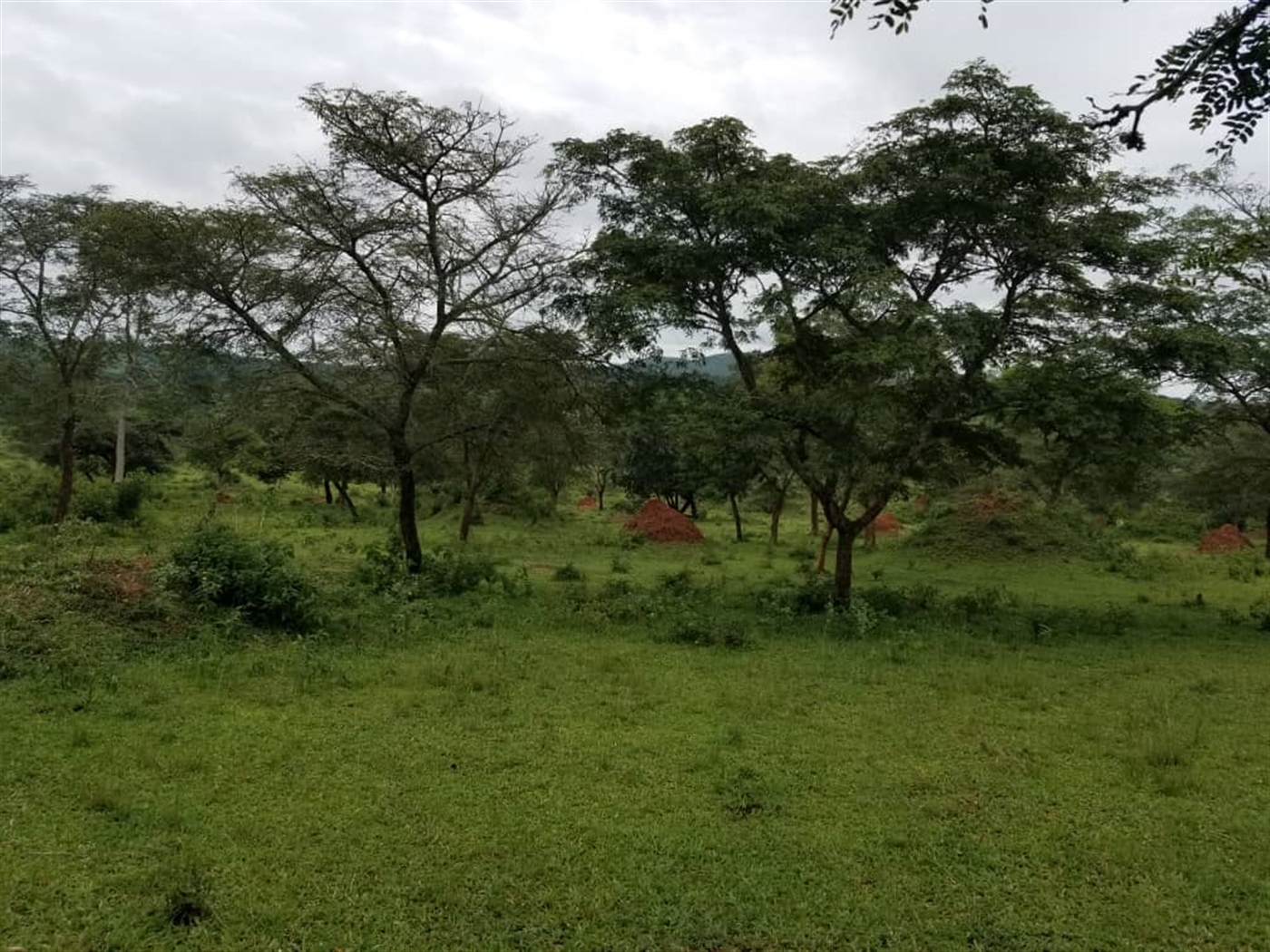 Agricultural Land for sale in Ggomba Butambala