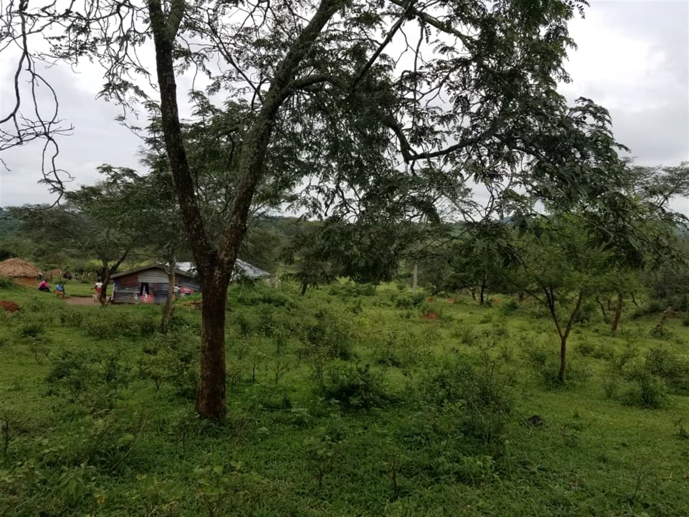 Agricultural Land for sale in Ggomba Butambala