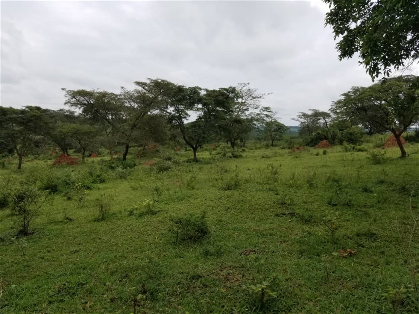 Agricultural Land for sale in Ggomba Butambala
