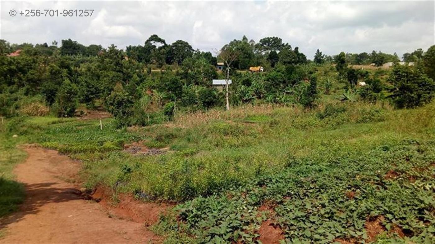 Multipurpose Land for sale in Nakassajja Mukono