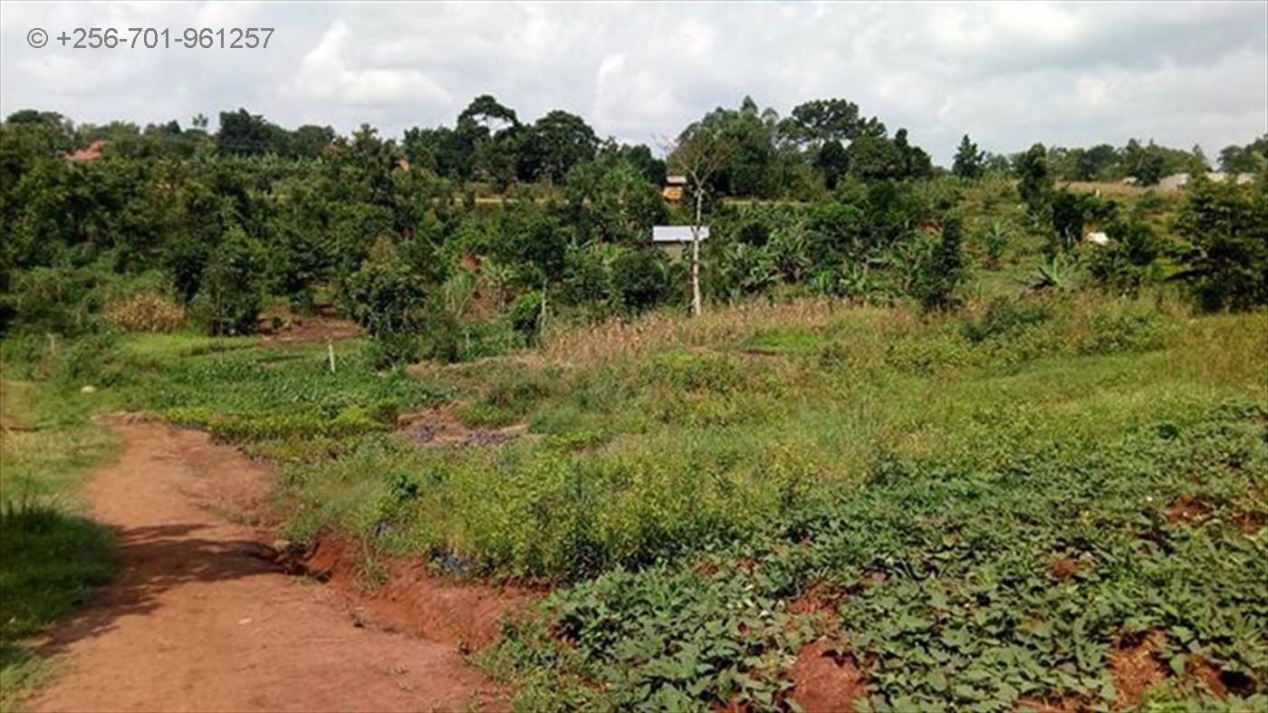 Multipurpose Land for sale in Nakassajja Mukono