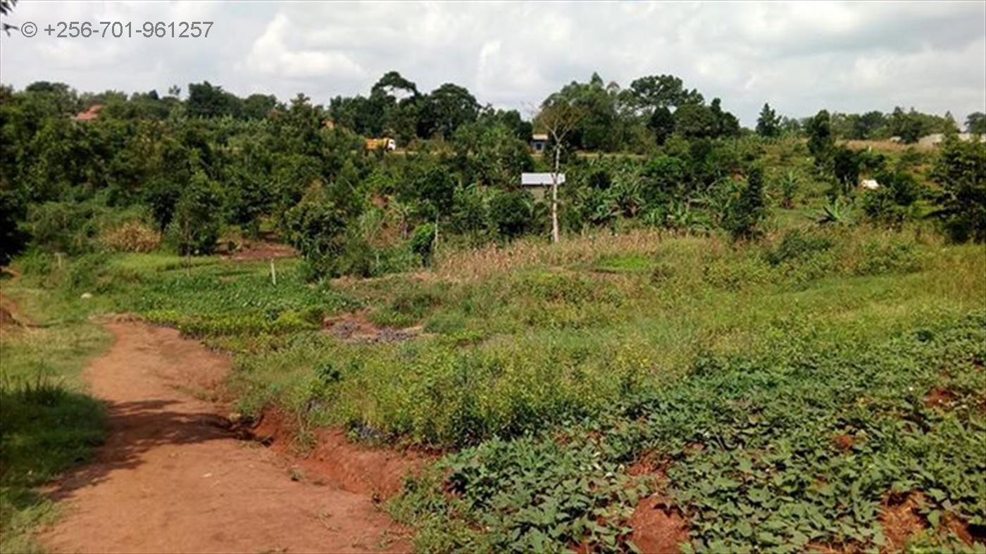 Multipurpose Land for sale in Nakassajja Mukono