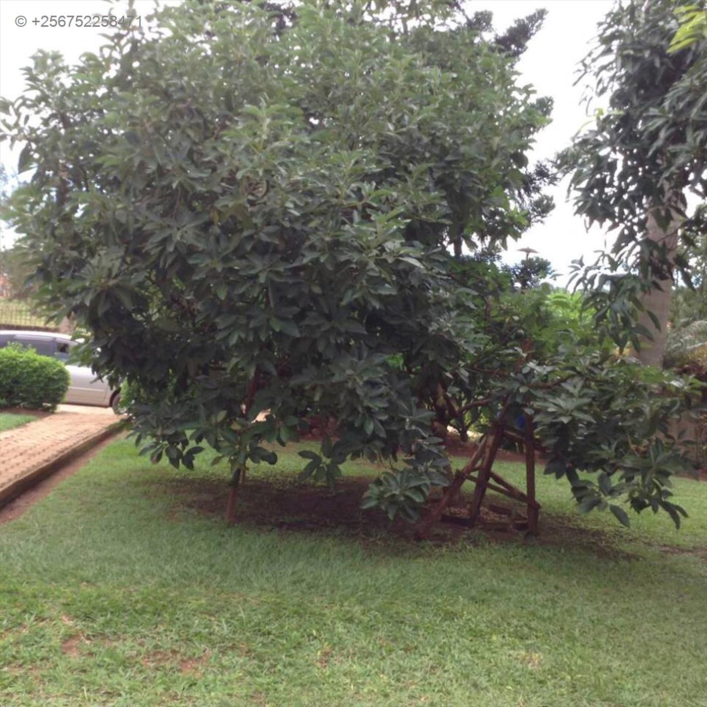 Bungalow for sale in Lubowa Kampala