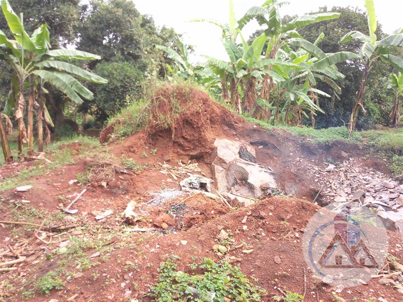 Agricultural Land for rent in Kira Wakiso