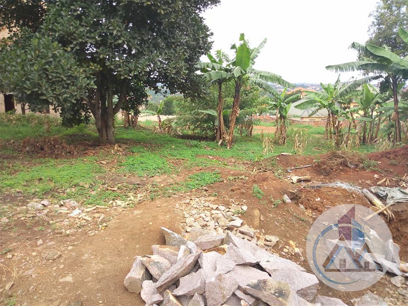 Agricultural Land for rent in Kira Wakiso