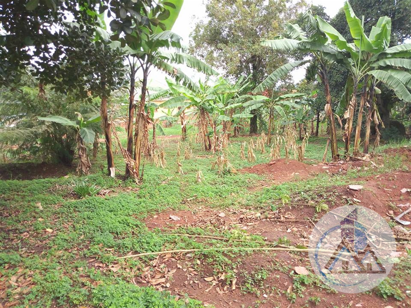 Agricultural Land for rent in Kira Wakiso