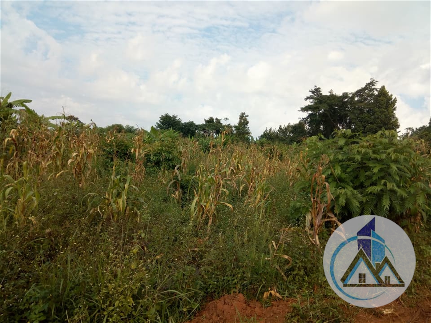 Agricultural Land for sale in Namugongo Wakiso
