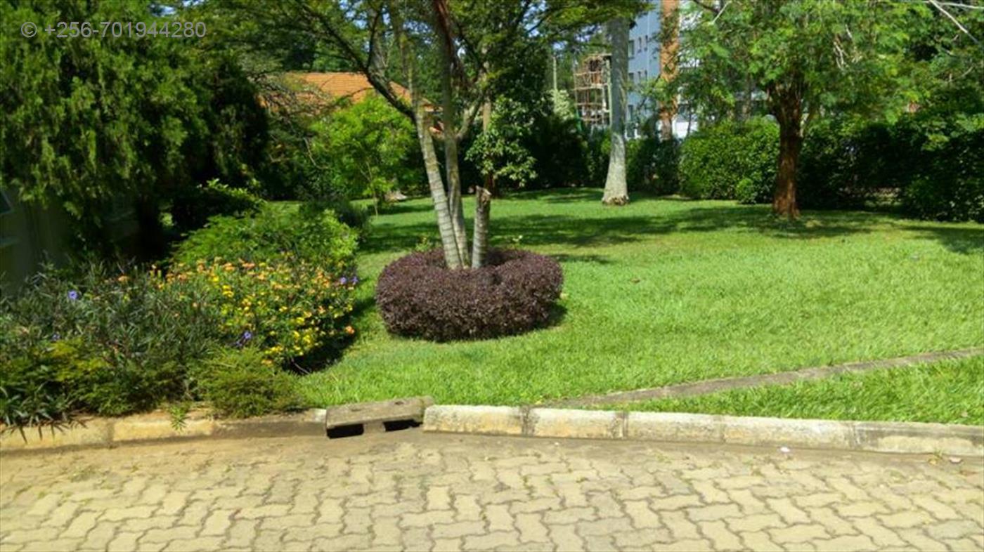 Mansion for rent in Kololo Kampala