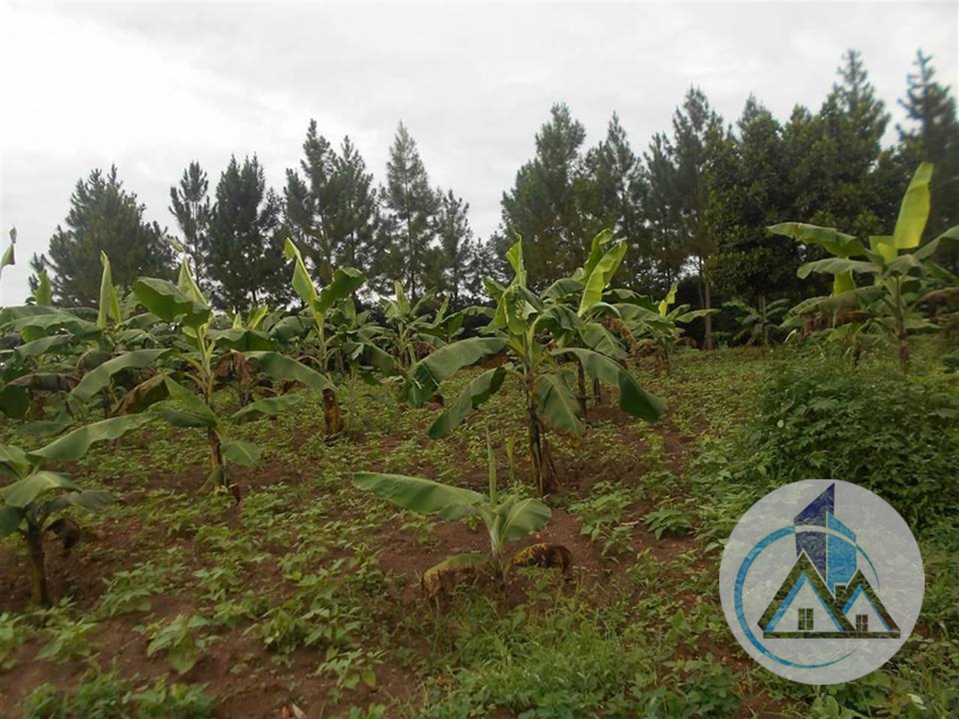 Multipurpose Land for sale in Kira Wakiso