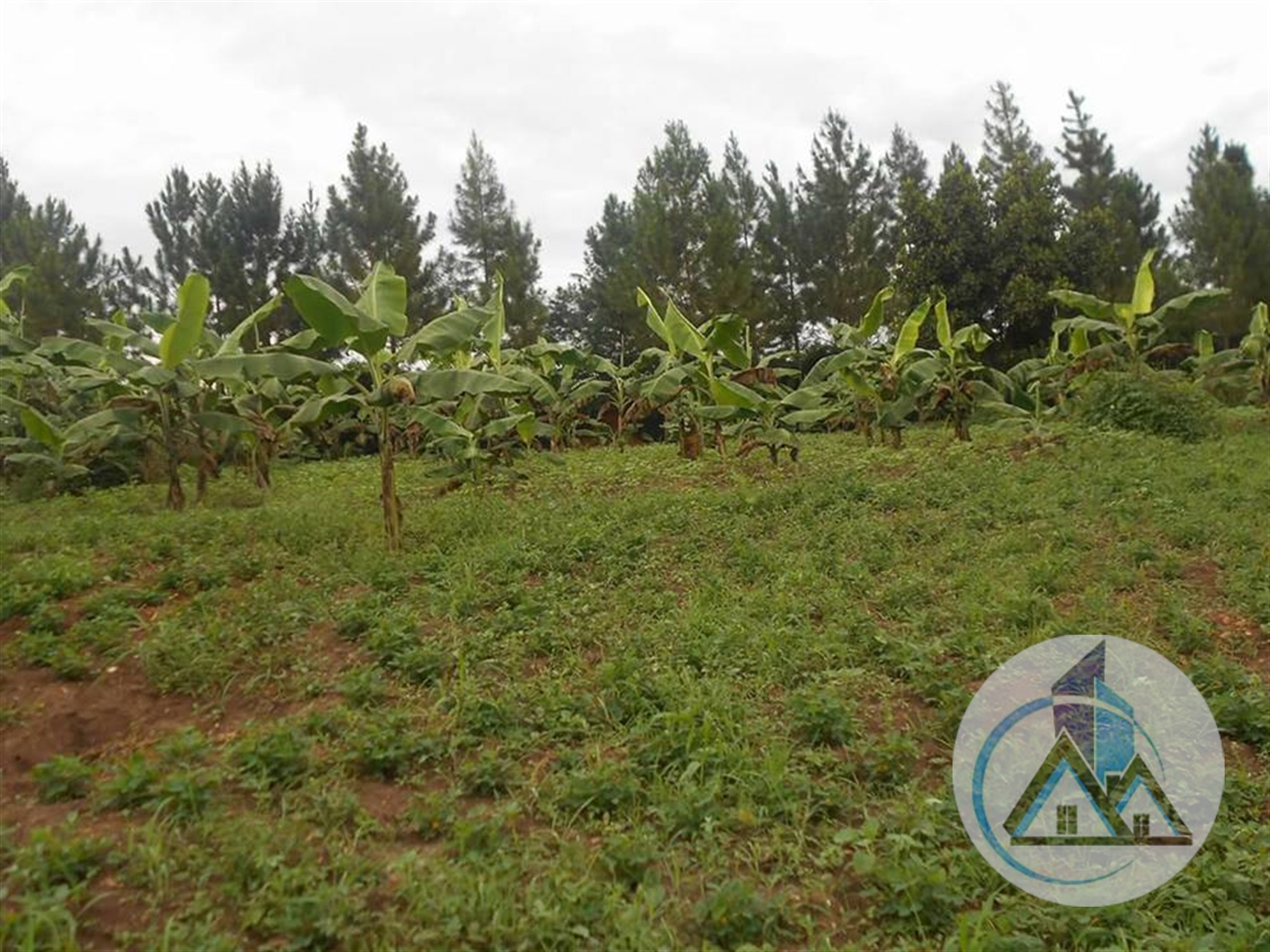 Multipurpose Land for sale in Kira Wakiso