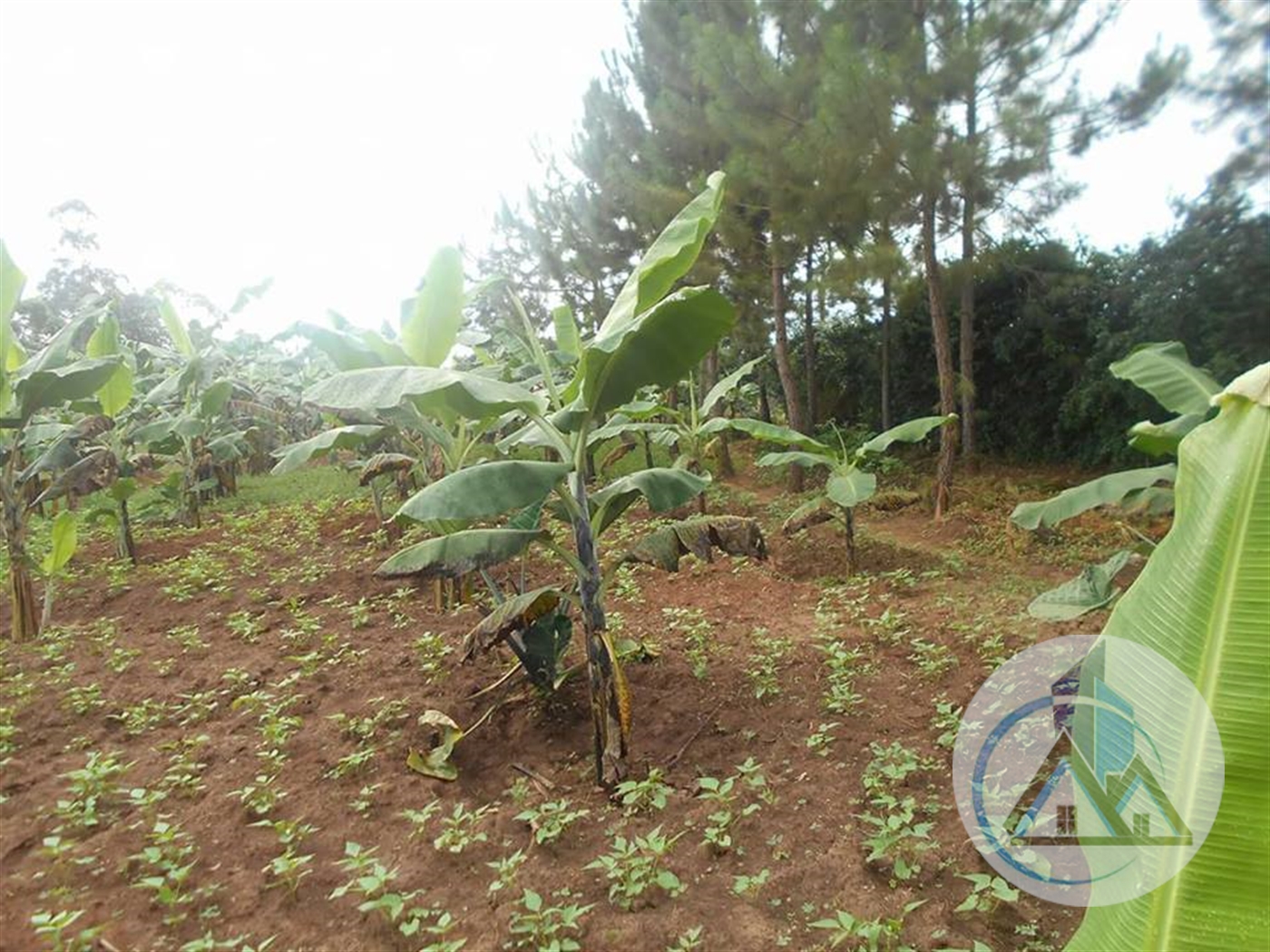 Multipurpose Land for sale in Kira Wakiso