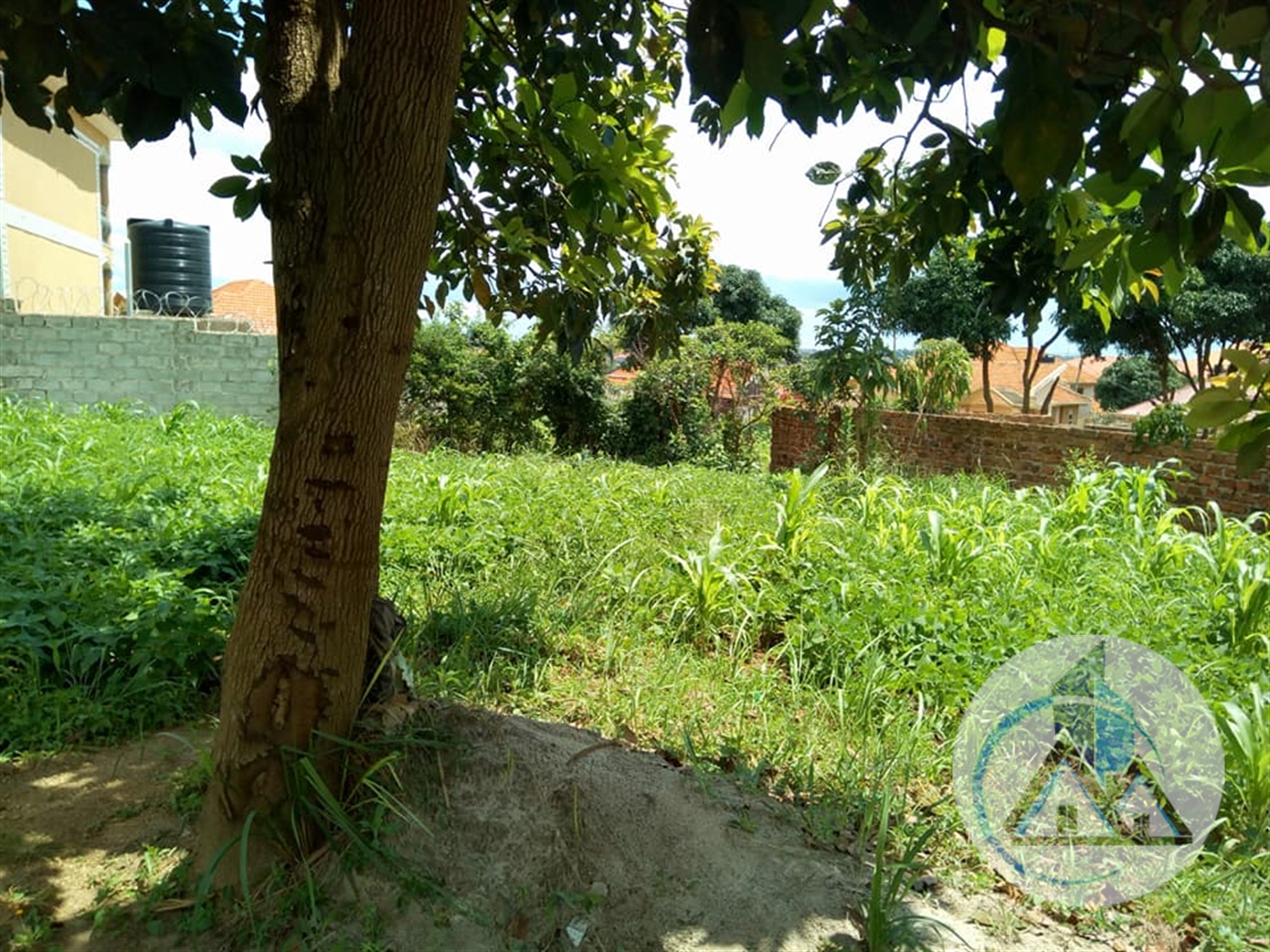 Agricultural Land for rent in Kyaliwajjala Wakiso
