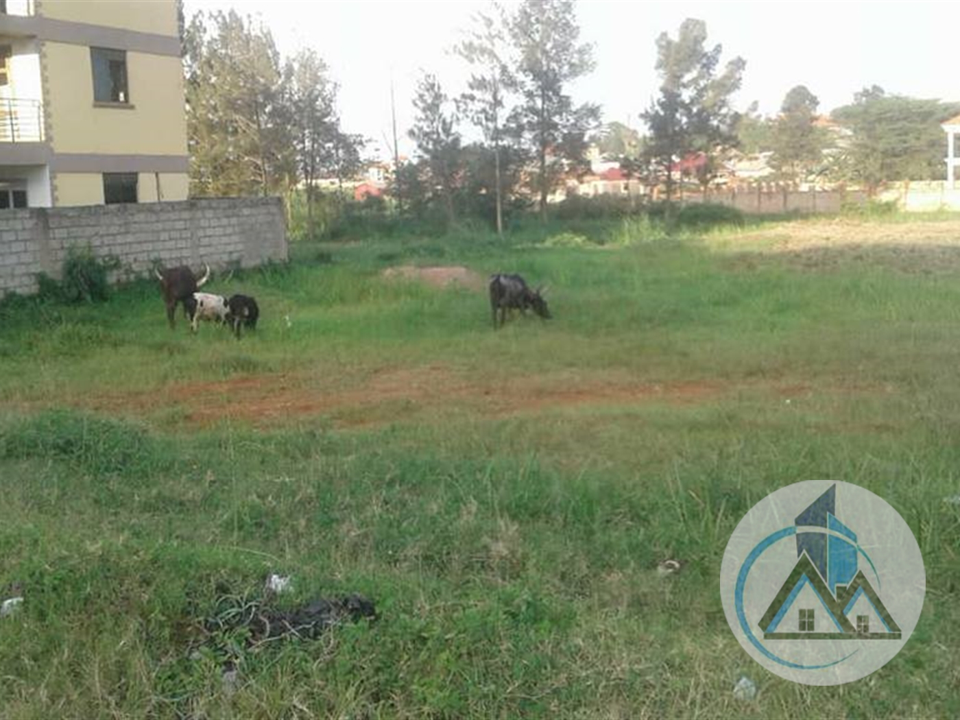 Commercial Land for rent in Bbunga Kampala