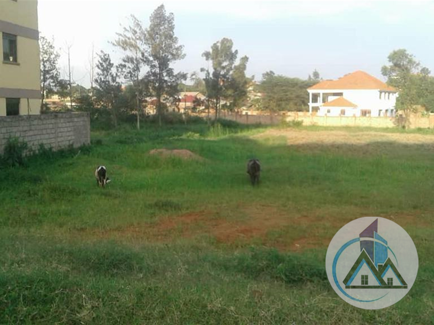 Commercial Land for rent in Bbunga Kampala