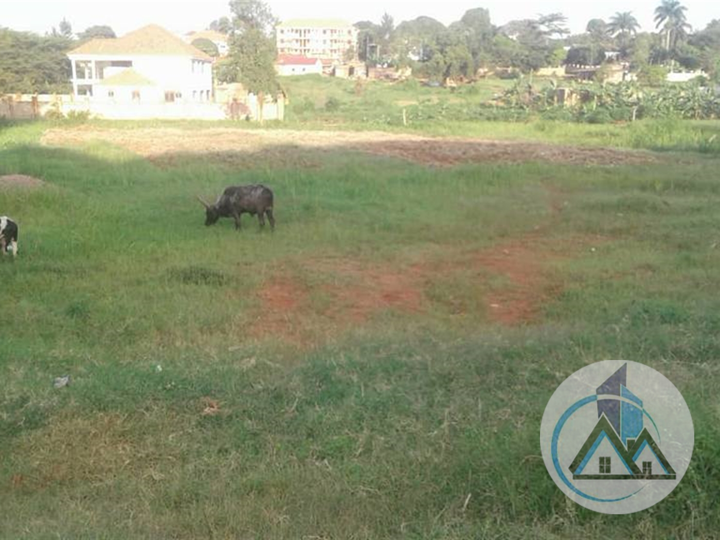 Commercial Land for rent in Bbunga Kampala