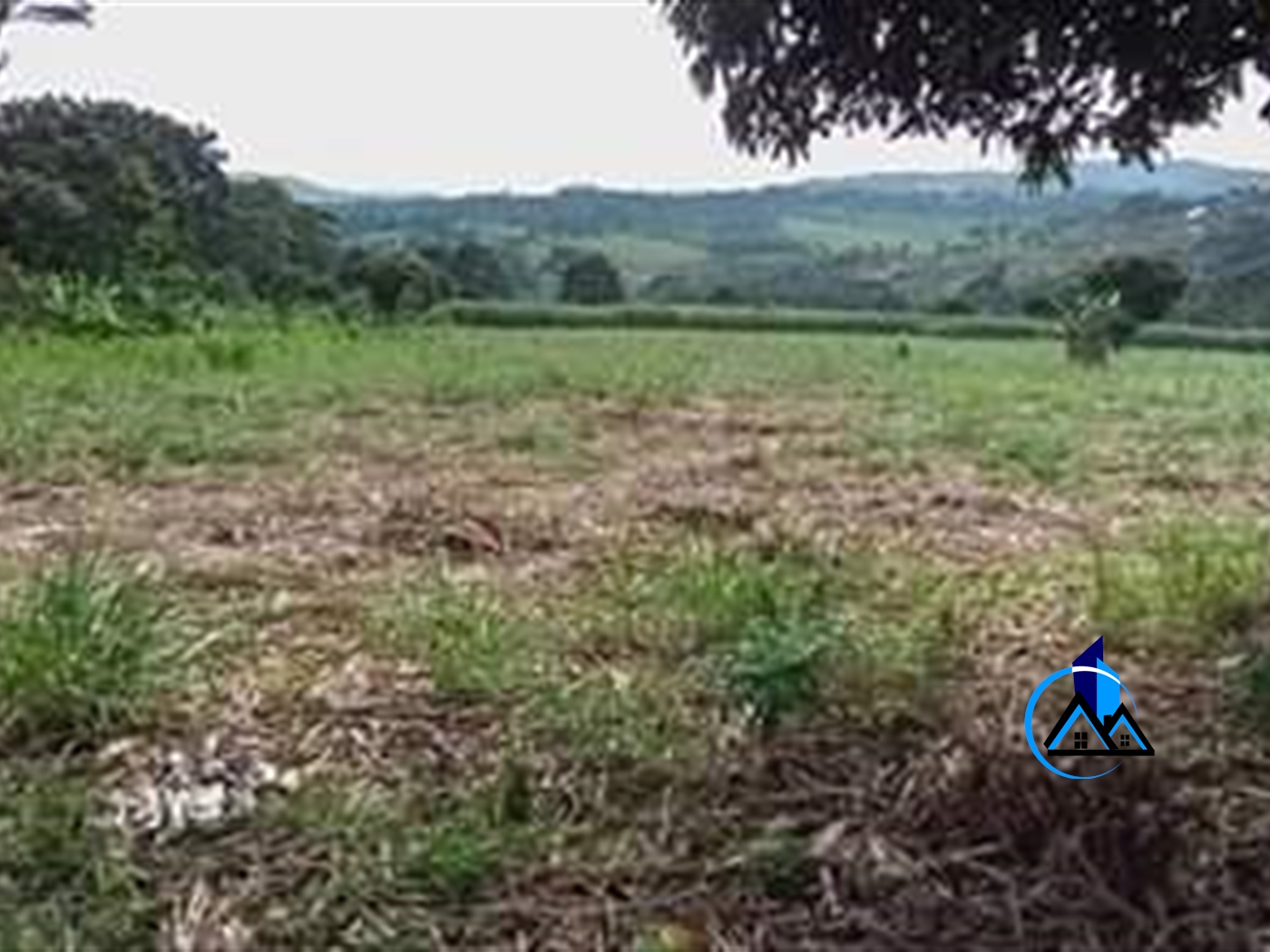 Agricultural Land for sale in Nkokonjeru Bukwa
