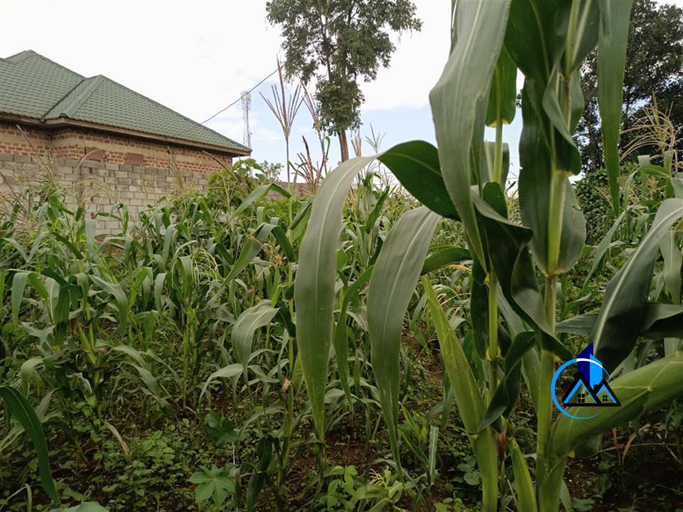 Residential Land for sale in Namugongo Wakiso