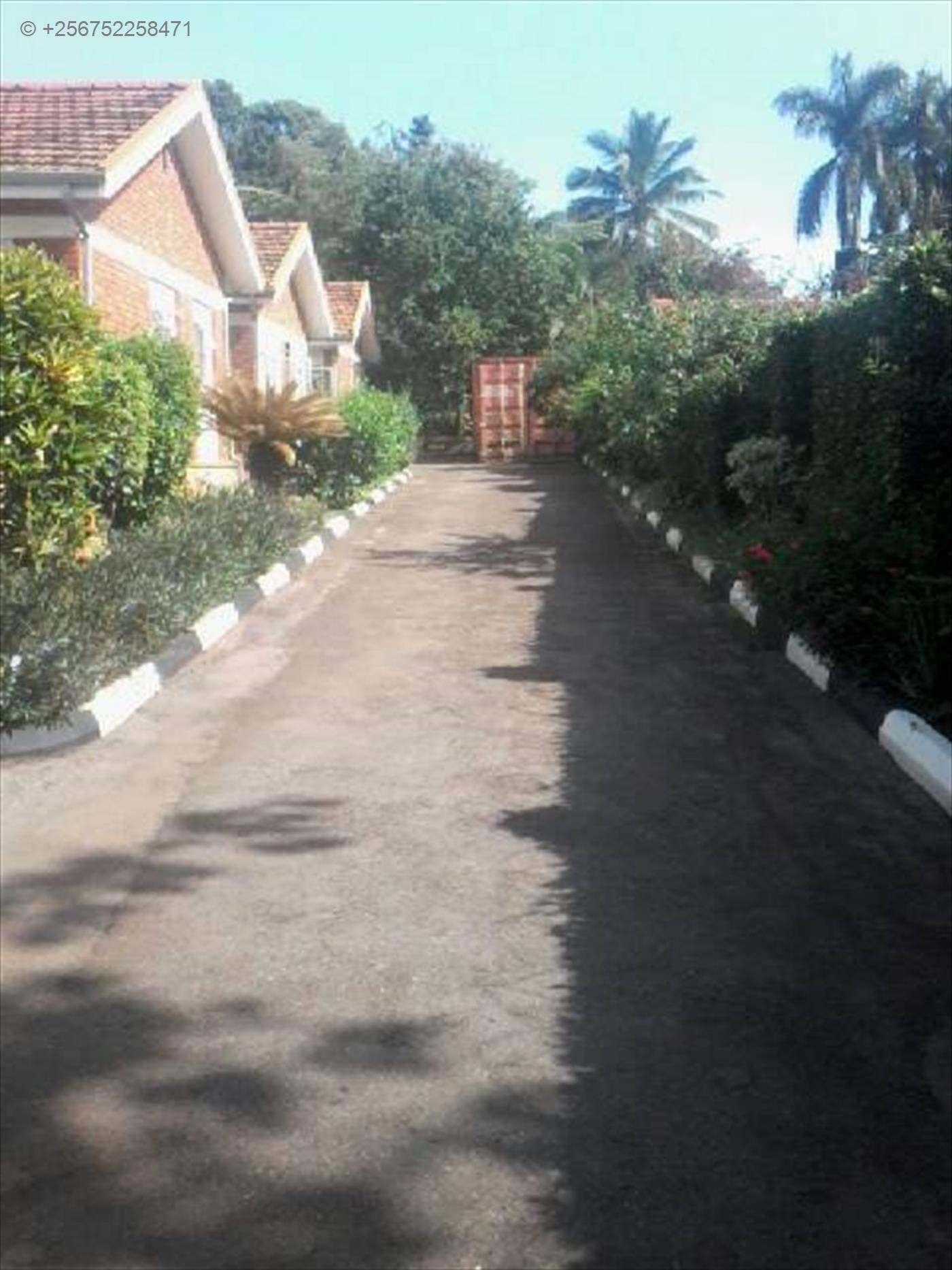 Bungalow for rent in Mbuya Kampala