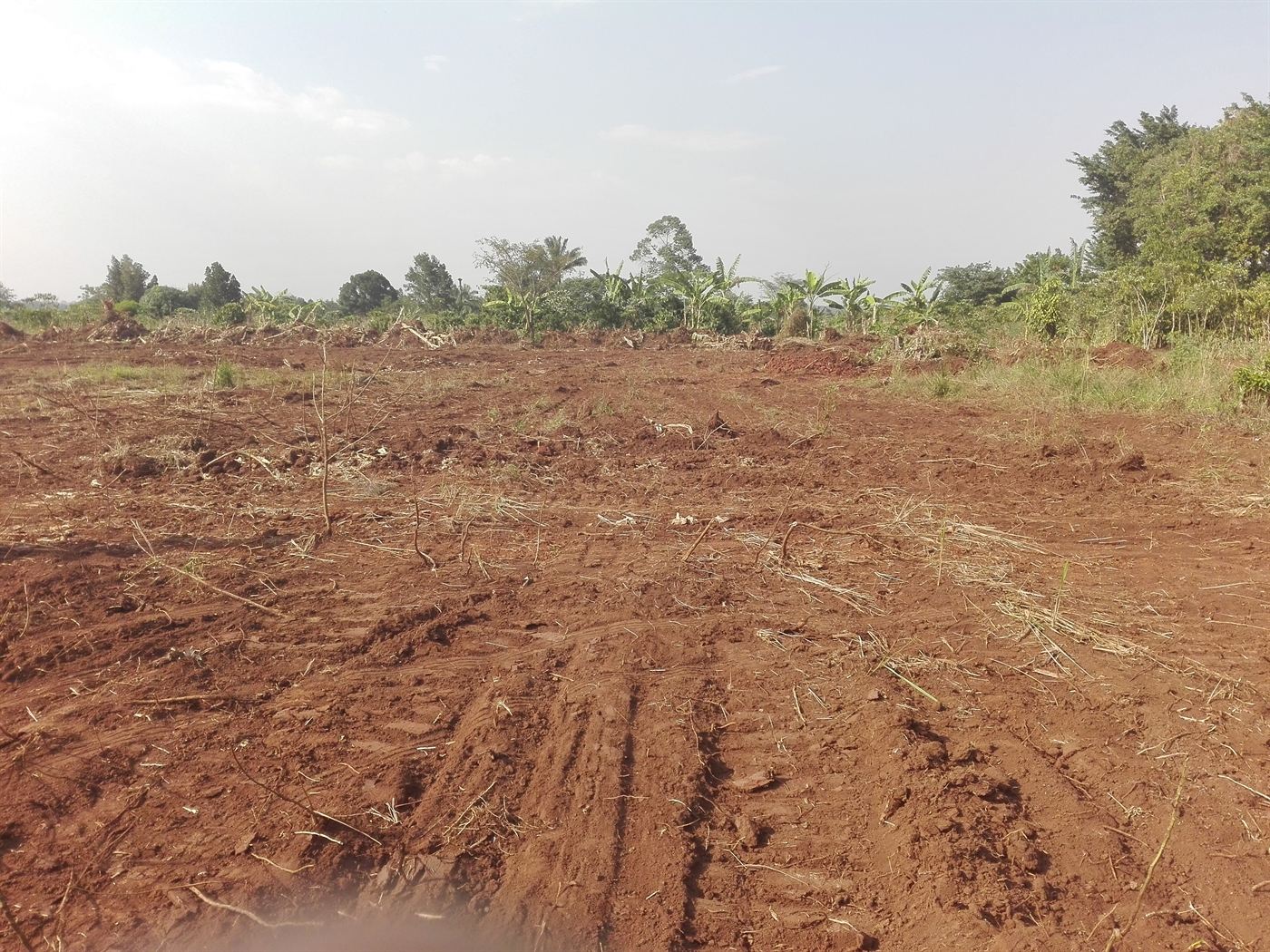 Multipurpose Land for sale in Ziloobwe Luweero