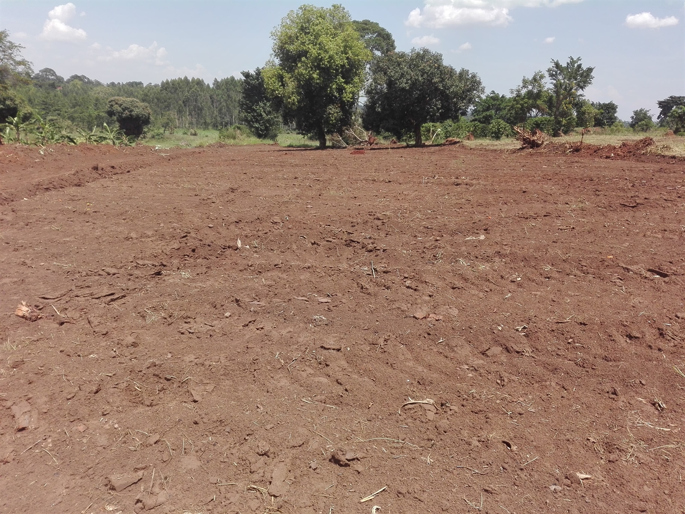 Multipurpose Land for sale in Vvumba Luweero