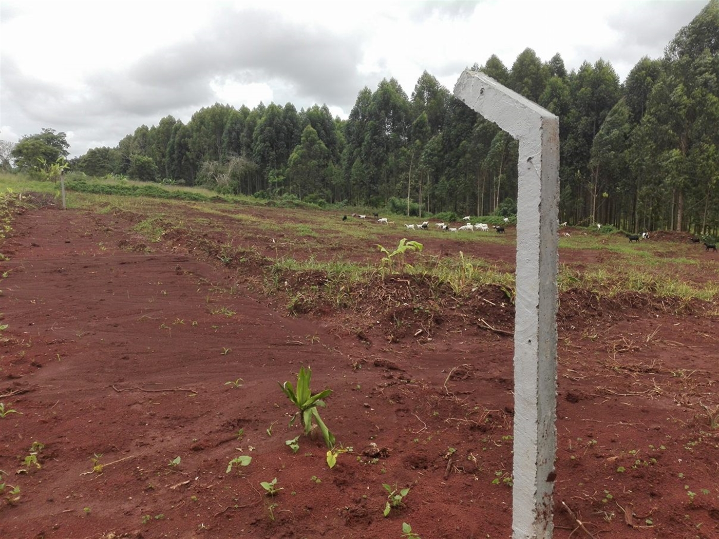 Multipurpose Land for sale in Ziloobwe Luweero