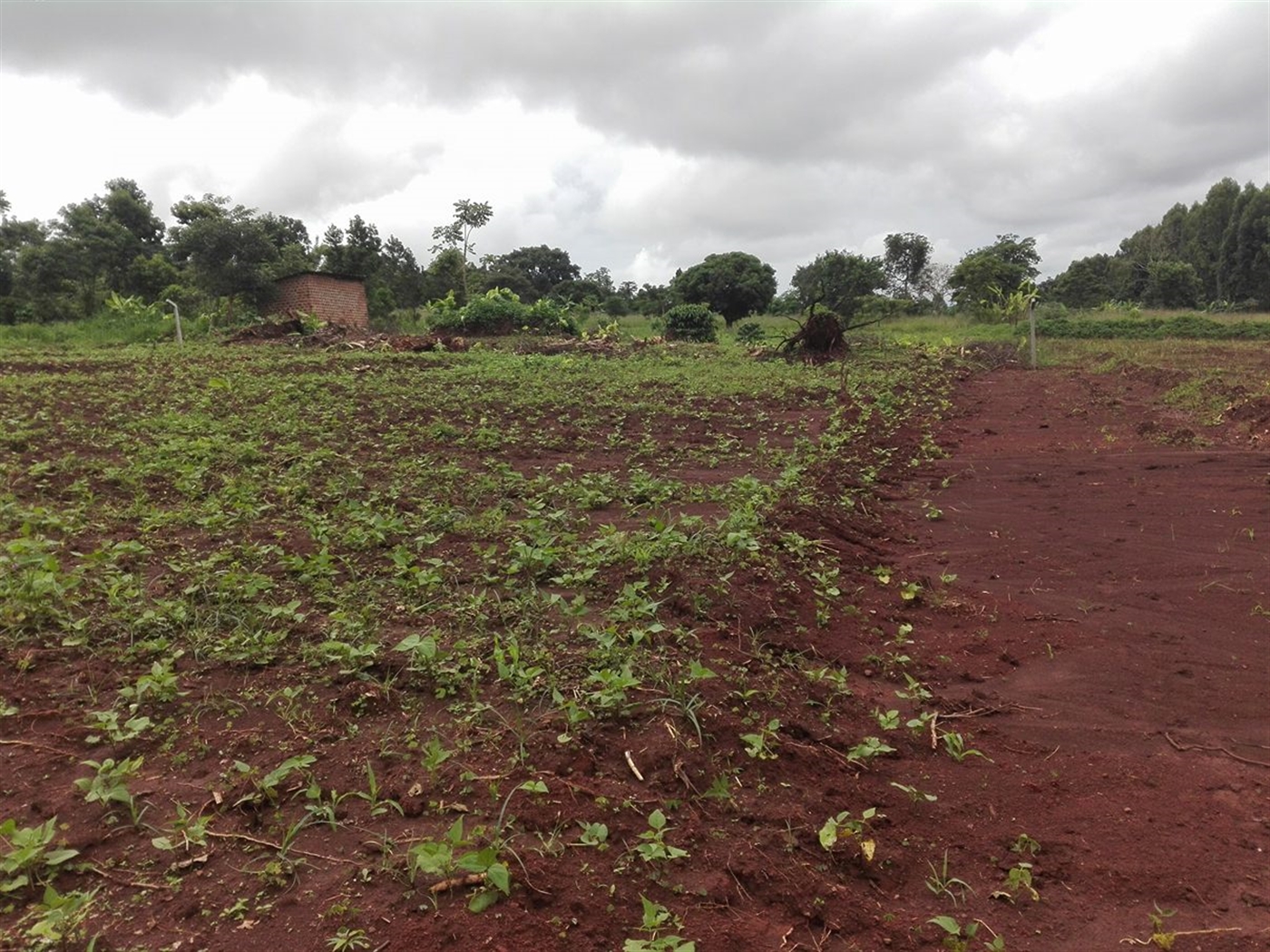 Multipurpose Land for sale in Ziloobwe Luweero