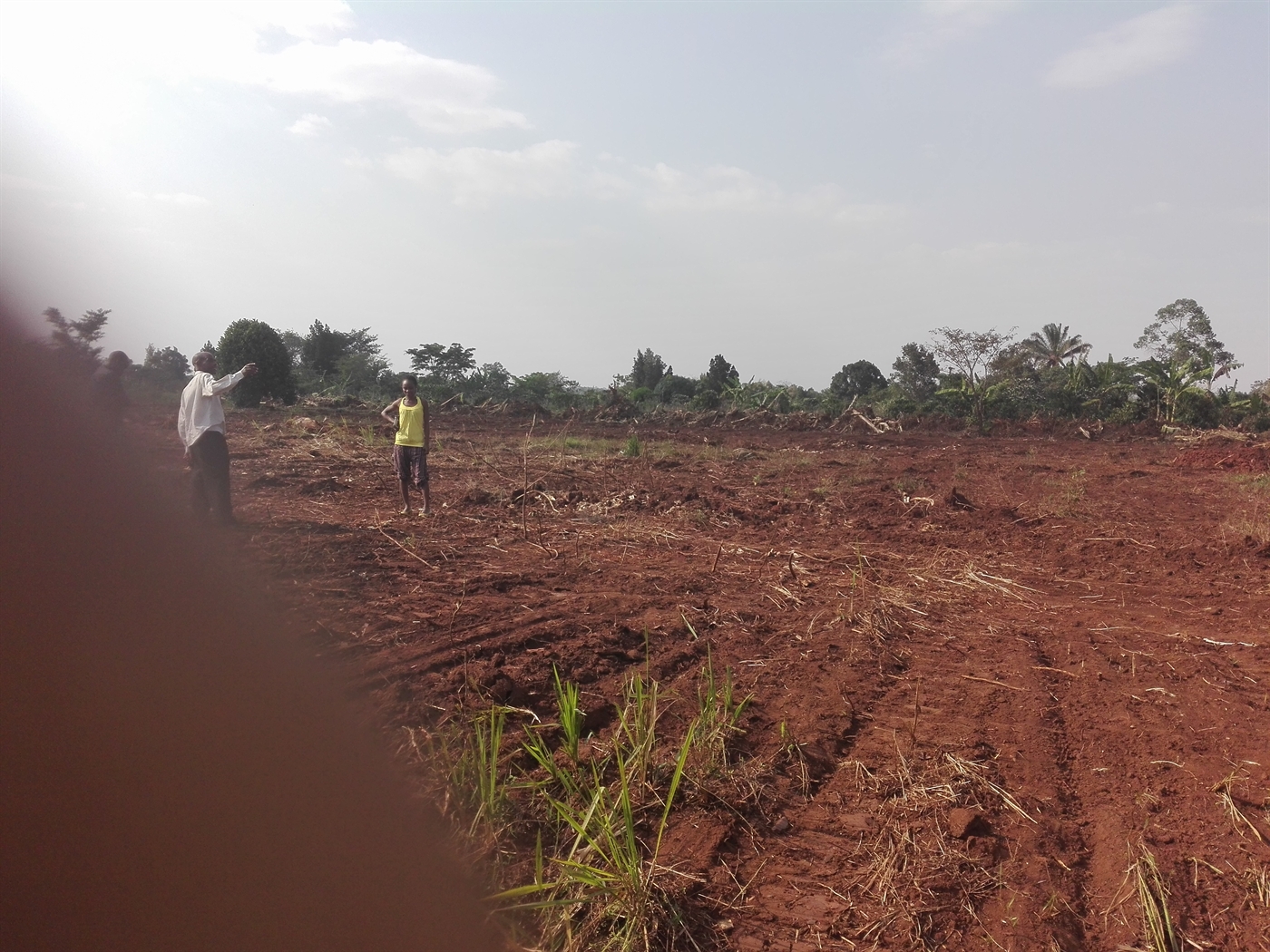 Residential Land for sale in Kiwenda Wakiso