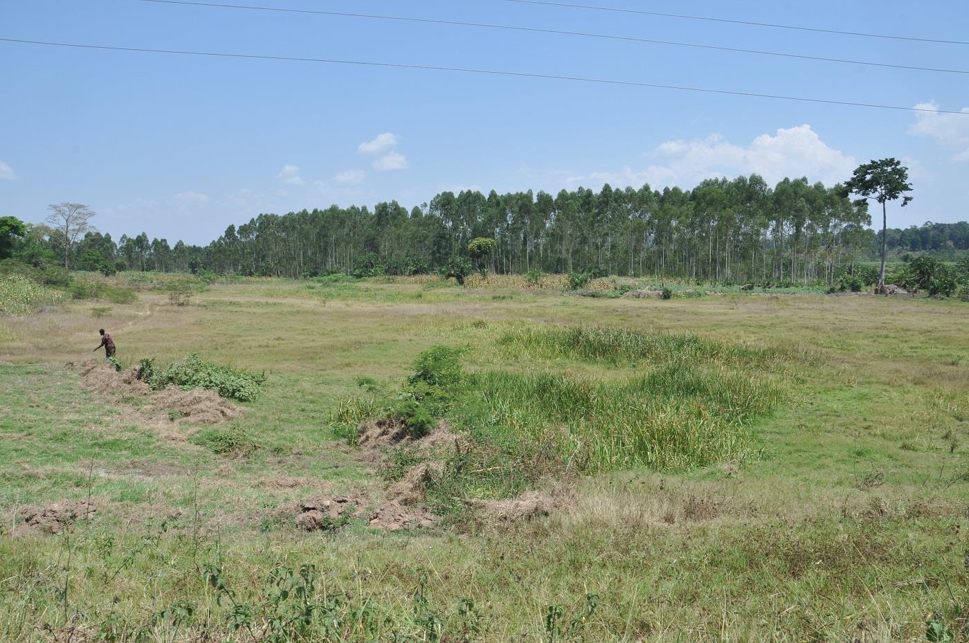 Residential Land for sale in Ssemuto Luweero