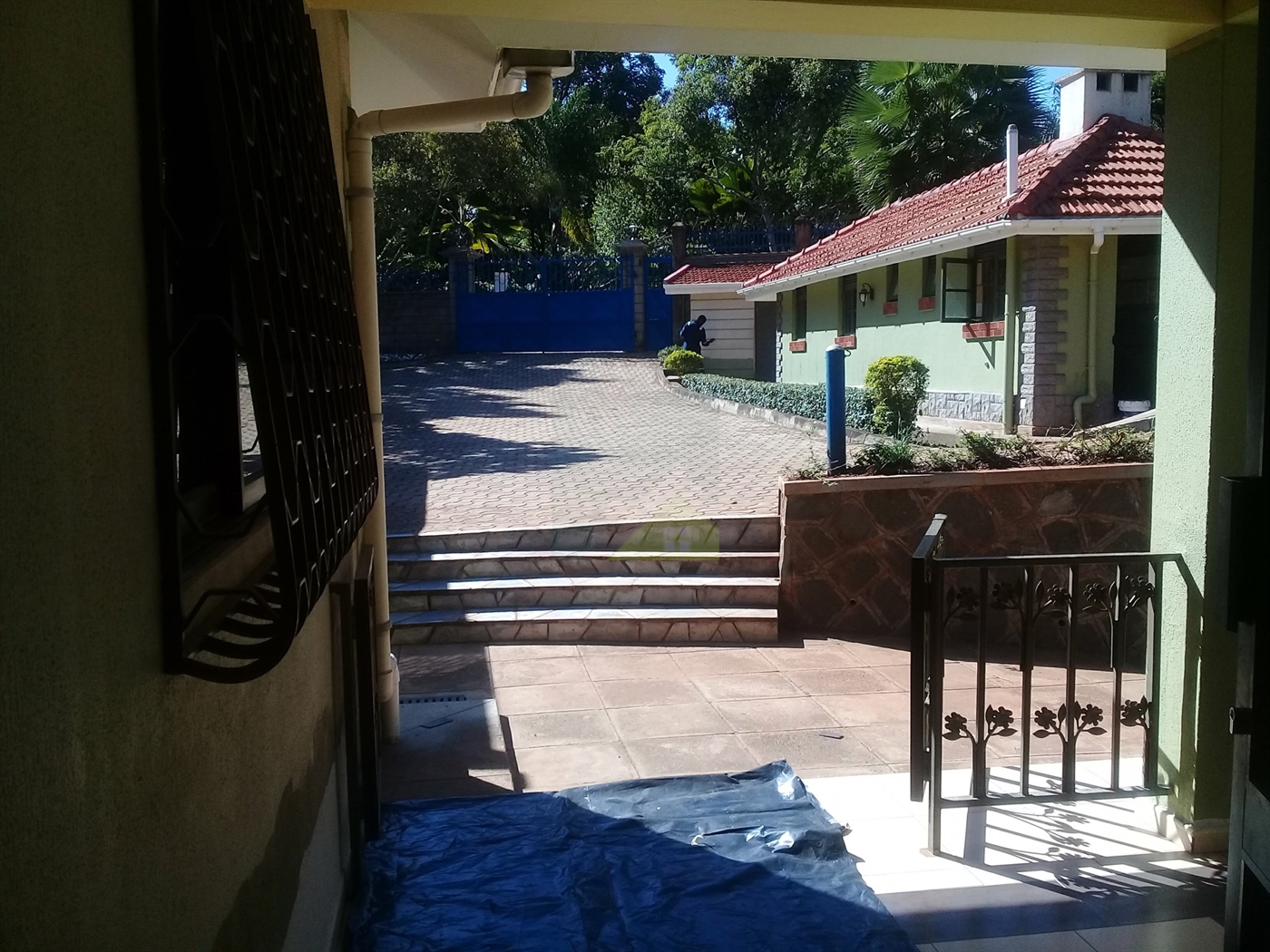 Bungalow for rent in Kololo Kampala