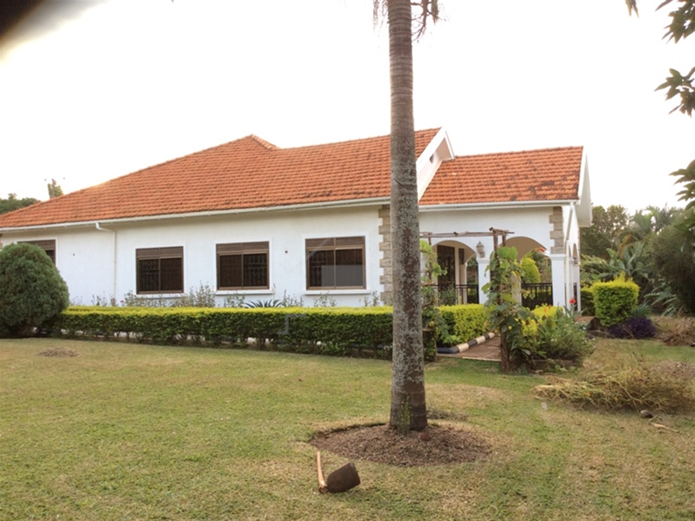 Bungalow for rent in Lubowa Wakiso