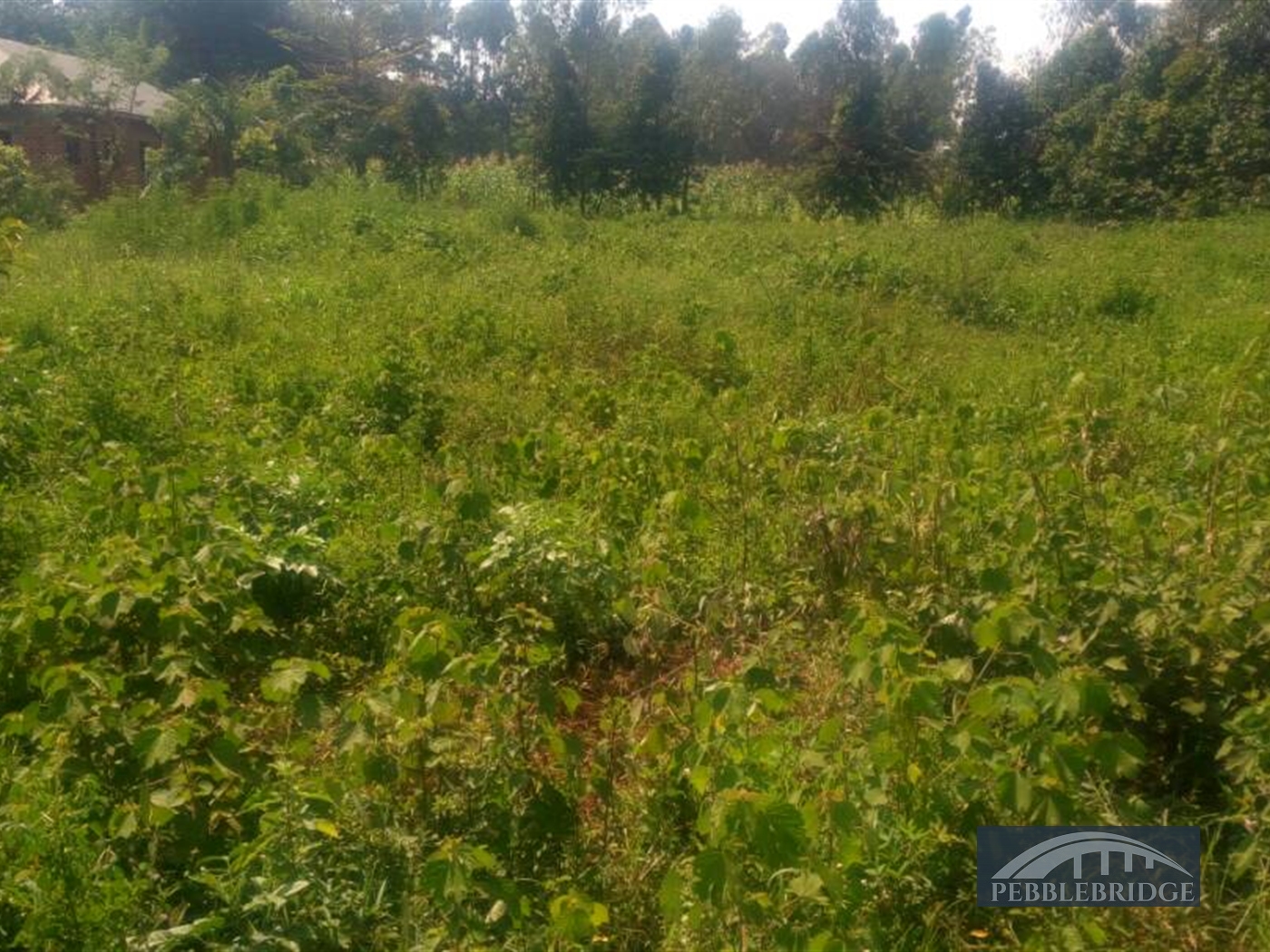 Multipurpose Land for sale in Bwelenga Wakiso