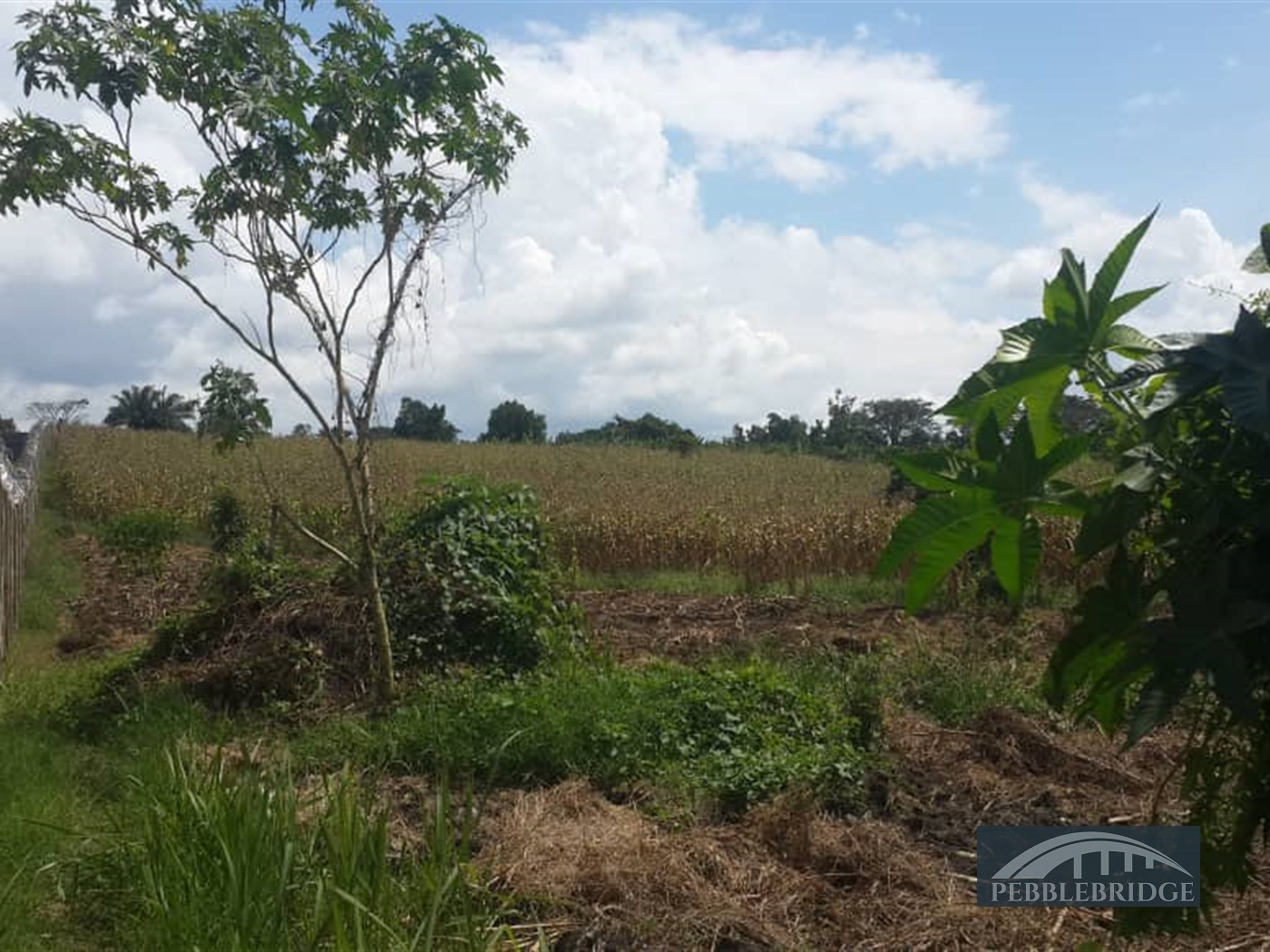 Multipurpose Land for sale in Gayaza Wakiso